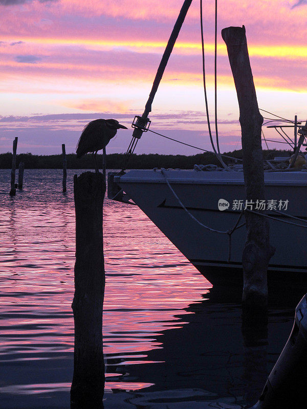 日落在游艇码头，加勒比岛Isla Mujeres，墨西哥